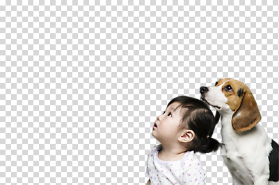 편집 편집이미지 한마리 응시 여자 한명 상반신 옆모습 한국인 올려보기 아기 개 비글 PNG 편집소스 1 시선 뷰포인트 포유류 모션 사람 동양인 파일형식