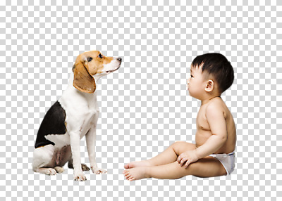 전신 편집 편집이미지 한마리 남자 한명 앉기 옆모습 마주보기 한국인 아기 개 비글 PNG 편집소스 1 뷰포인트 포유류 모션 사람 동양인 파일형식