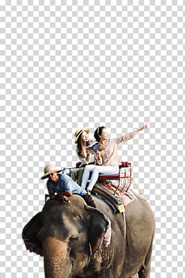 외국인 편집 편집이미지 여자 남자 여행 코끼리 앉기 20대 세명 트래킹 한국인 가리킴 가이드북 PNG 코끼리트래킹 성인만 편집소스 포유류 모션 레저 사람 동양인 인종 손짓 청년 파일형식