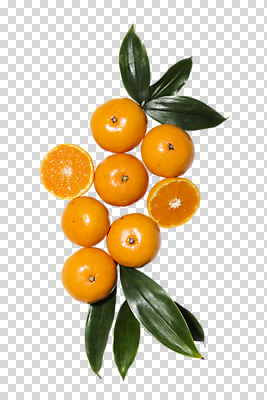 편집 편집이미지 잎 과일 단면 귤 사람없음 여러개 PNG 편집소스 식물 다수 파일형식