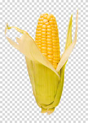 편집 편집이미지 옥수수 사람없음 PNG 편집소스 곡류 파일형식