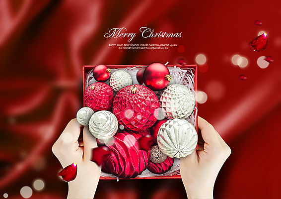 PSD 편집 편집이미지 손 꽃잎 크리스마스 한명 이벤트 신체부위 선물상자 장식볼 양손 이미지편집 1 기념일 꽃 선물 사람 장식 상자 파일형식