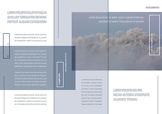 나무 템플릿 표지디자인 북디자인 출판디자인 표지 리플렛 설경 겨울 북커버 3단접지 팜플렛 사람없음 눈 숲 이미지템플릿 AI파일 자연요소 식물 계절 날씨 풍경 파일형식 벡터