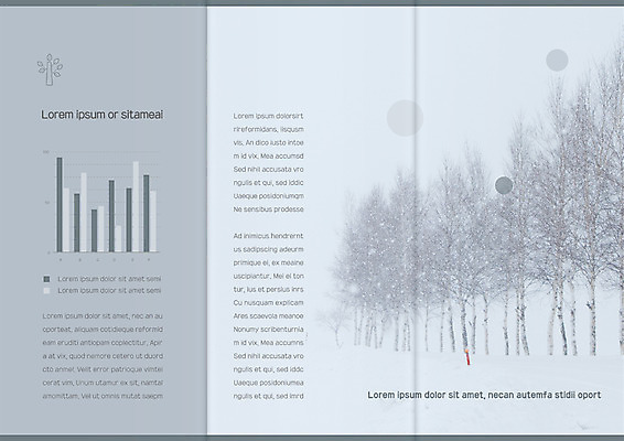 나무 템플릿 표지디자인 북디자인 출판디자인 내지 리플렛 겨울 북커버 3단접지 그래프 팜플렛 사람없음 설원 눈 이미지템플릿 AI파일 자연요소 식물 계절 날씨 눈_날씨 파일형식 벡터