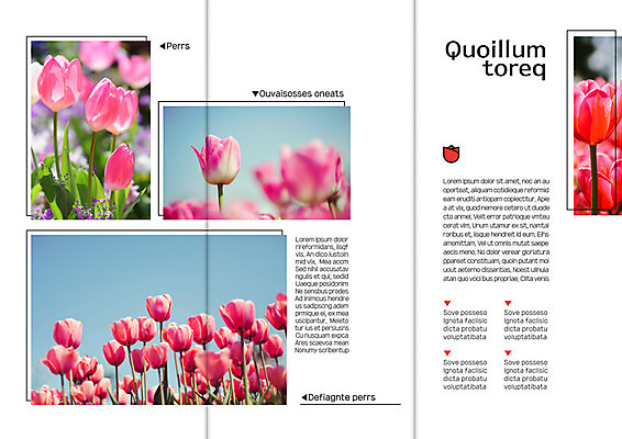 템플릿 표지디자인 북디자인 출판디자인 내지 리플렛 여러송이 북커버 3단접지 자연 팜플렛 사람없음 튤립 이미지템플릿 AI파일 꽃 다수 생태계 파일형식 벡터