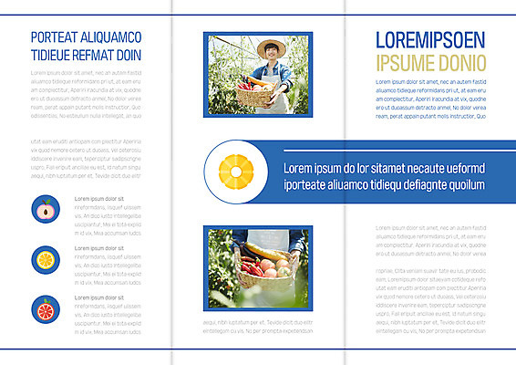 템플릿 표지디자인 북디자인 출판디자인 남자 내지 리플렛 채소 북커버 3단접지 팜플렛 20대 성인 두명 바구니 농사 한국인 수확 농부 청년농부 이미지템플릿 AI파일 직업 농업 사람 동양인 청년 파일형식 벡터