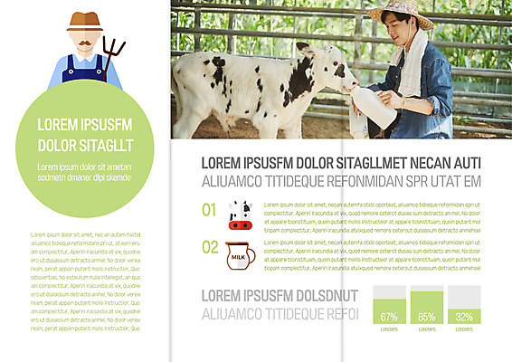 템플릿 표지디자인 북디자인 출판디자인 남자 내지 리플렛 북커버 3단접지 팜플렛 20대 성인 두명 목장 한국인 우유 농부 먹여주기 젖소 청년농부 이미지템플릿 AI파일 직업 유제품 사람 동양인 청년 소 먹기 파일형식 벡터