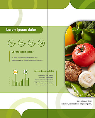 PSD 템플릿 표지디자인 북디자인 출판디자인 내지 리플렛 토마토 채소 2단접지 북커버 그래프 팜플렛 사람없음 버섯 신선 완두콩 이미지템플릿 콩 파일형식