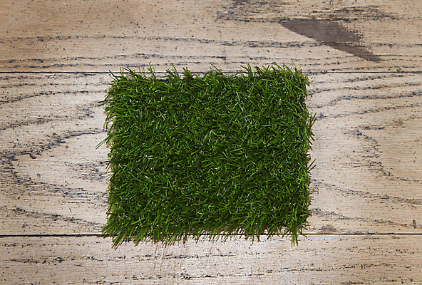 포토 JPG 해외이미지 주간 근접촬영 잔디 사람없음 초록색 성장 신선 거짓 인공 정물화 카피스페이스 해외202004 해외포토 자연요소 식물 뷰포인트 컬러 공백 그림 파일형식 이미지허브