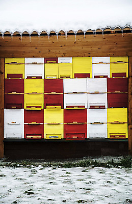 포토 JPG 해외이미지 동물 곤충 겨울 지붕 날씨 사람없음 목재 상자 농장 쌓기 수분 벌 꿀 벌집 양봉장 해외202004 해외포토 나무 계절 농업 재료 모션 파일형식 이미지허브