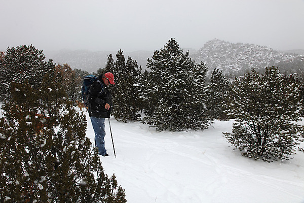 포토 JPG 해외이미지 나무 겨울 배낭 자연 산 한명 야외 빨간색 산책 하이킹 안개 흰색 소나무 황무지 개 숲 눈보라 삼나무 콜로라도 해외202004 해외포토 식물 1 계절 컬러 가방 포유류 레저 날씨 휴식 눈_날씨 사람 미국 생태계 파일형식 이미지허브