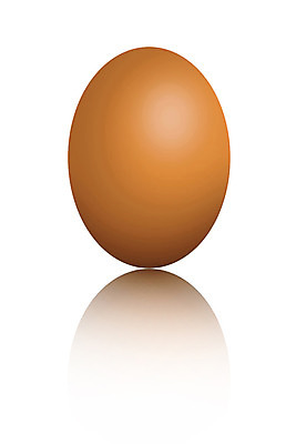 포토 JPG 해외이미지 모양 전통 디자인 계절 종교 음식 분홍색 백그라운드 오렌지 일러스트 자연 추상 부활절 미술 사람없음 장식 빨간색 초록색 파란색 컬러풀 반사 노란색 계란 치킨 봄 흰색 축하 그리기 그룹 4월 심볼 오브젝트 싱글 내추럴 고립 해외202004 해외일러스트 기념일 컬러 컨셉 무늬 과일 모션 문화예술 알 날짜 생태계 닭고기요리 파일형식 이미지허브