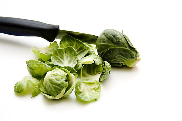 포토 JPG 해외이미지 음식 잎 채소 건강 사람없음 초록색 수확 신선 칼 먹기 흰배경 양배추 날것 해외202004 해외포토 식물 컬러 백그라운드 농업 모션 흰색 파일형식 이미지허브