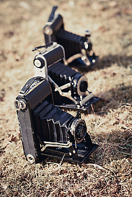 포토 JPG 해외이미지 디자인 백그라운드 사람없음 수확 필름 오브젝트 복고 셔터 스타일 해외202004 해외포토 농업 파일형식 이미지허브