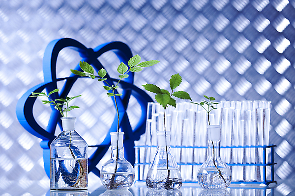 포토 JPG 해외이미지 식물 실내 실험 사람없음 액체 화학 실험실 플라스크 시험관 파란배경 비커 유리관 화학실험 시험관대 해외202004 해외포토 과학 백그라운드 실험기구 내부 파란색 파일형식 이미지허브