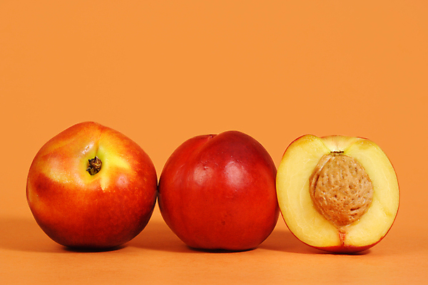 포토 JPG 해외이미지 단면 실내 사람없음 달콤 복숭아 복숭아씨 주황색배경 해외202004 해외포토 백그라운드 과일 씨앗 내부 주황색 맛 파일형식 이미지허브