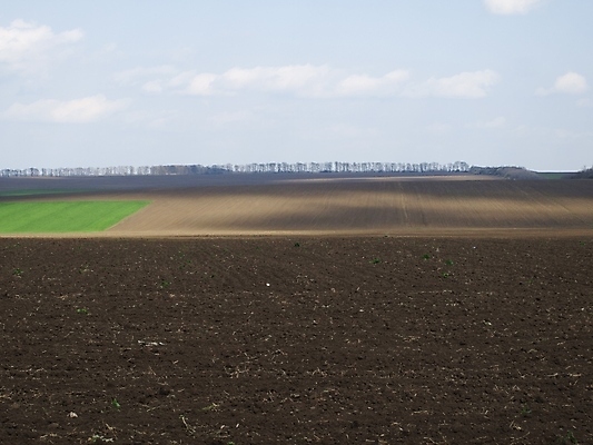 포토 JPG 해외이미지 계절 밭 농업 자연 하늘 풍경 사람없음 야외 초록색 농장 봄 시골 땅 내추럴 수평선 해외202004 해외포토 산업 컬러 생태계 파일형식 이미지허브