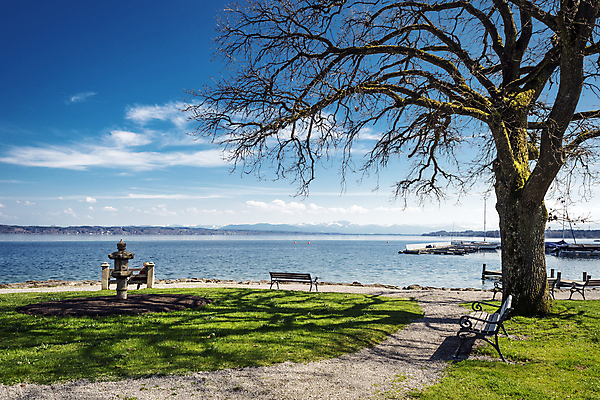 포토 JPG 해외이미지 나무 구름 계절 유럽 호수 파도 여행 백그라운드 벤치 자연 벽지 조류 하늘 아침 날씨 휴가 산 독일 사람 풍경 사람없음 야외 초록색 물 여름 파란색 빛 햇빛 반사 평화 맑음 검은색 침묵 추위 야간 저녁 만족 알프스 바이에른 수평선 해외202004 해외포토 주간 자연요소 식물 동물 감정 나라 바다 컬러 컨셉 의자 태양 소리 생태계 파일형식 이미지허브