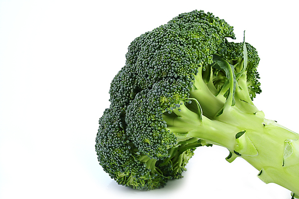 포토 JPG 해외이미지 음식 줄기 잎 다이어트 채소 건강 요리 사람없음 초록색 컬러풀 요식업 저녁식사 흰색 신선 최고 고명 몸무게 브로콜리 날씬함 유기농 날것 칼로리 섬유 성분 내추럴 점심식사 고립 식욕 적자 해외202004 해외포토 식물 웰빙 산업 컬러 식사 직물 몸매 파일형식 이미지허브