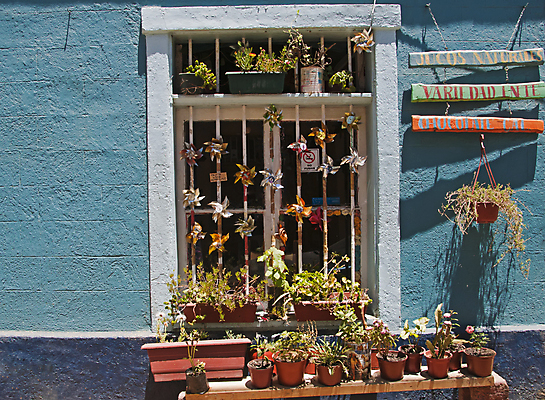 포토 JPG 해외이미지 식물 꽃 벽 건축양식 창문 사람없음 야외 건물 파란색 상점 미국 카페 도시 바 냄비 서명 칠레 남쪽 해외202004 해외포토 건축물 건축 컬러 북아메리카 남아메리카 솥 방향 파일형식 이미지허브