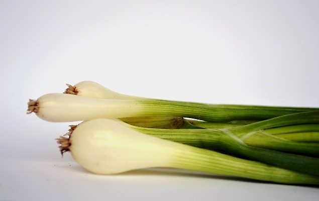 포토 JPG 해외이미지 채소 양파 사람없음 초록색 샐러드 흰색 신선 조직 호흡 굽기 허브 성분 리빙 고립 채식주의자 해외202004 해외포토 식물 음식 컬러 구이 채식 파일형식 이미지허브