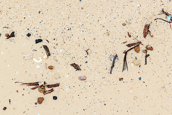 포토 JPG 해외이미지 모래 바다 여행 백그라운드 자연 하늘 추상 휴가 조개 휴식 건조 해변 사람없음 야외 물 여름 모래사장 햇빛 노란색 우주 맑음 침묵 사막 껍질 모래언덕 오브젝트 질감 태평양 석호 내추럴 생태학 이국적 해외202004 해외포토 자연요소 계절 교육 컬러 컨셉 무늬 날씨 어패류 태양 소리 언덕 생태계 파일형식 이미지허브