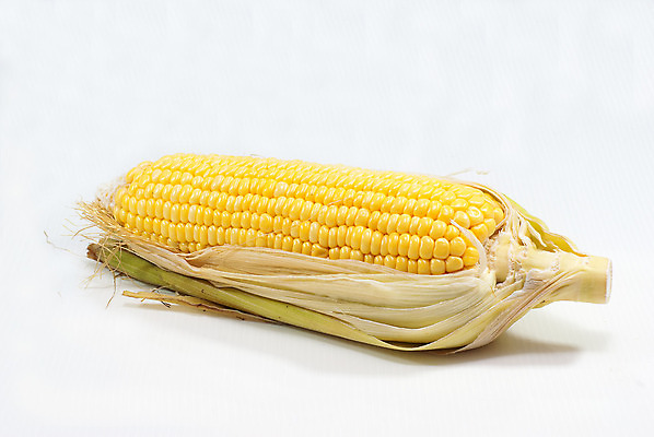 포토 JPG 해외이미지 문화 음식 줄기 조각 농업 다이어트 채소 재료 건강 옥수수 요리 사람없음 초록색 태양 농장 노란색 식사 수확 껍질 신선 황금 달콤 맛 아침식사 낟알 시리얼 먹기 만족 유기농 알맹이 날것 향기 귀 내추럴 고립 삶기 숙성 채식주의자 해외202004 해외포토 자연요소 식물 웰빙 감정 산업 컬러 컨셉 모션 곡류 신체부위 채식 냄새 파일형식 이미지허브