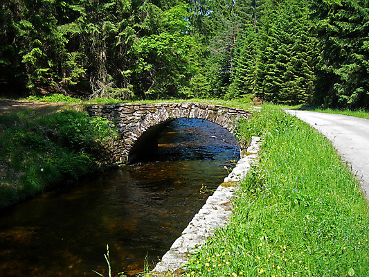 포토 JPG 해외이미지 꽃 도로 여행 건축양식 자연 산 풍경 사람없음 물 여름 강 봄 하이킹 바위 소나무 개울 숲 활 방법 옛날 가문비나무 해외202004 해외포토 자연요소 나무 식물 계절 건축 길 교통시설 레저 돌_바위 생태계 파일형식 이미지허브