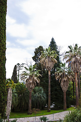 포토 JPG 해외이미지 나무 공원 잎 자연 주택 따뜻함 손바닥 사람없음 목재 초록색 컬러풀 노란색 맑음 봄 산책 나뭇가지 신선 관목 해외202004 해외포토 식물 손 계절 공공시설 컬러 재료 날씨 휴식 건물 생태계 파일형식 이미지허브