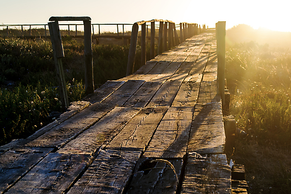포토 JPG 해외이미지 도로 길 자국 표면 그림자 사람없음 야외 목재 여름 빛 햇빛 태양 노란색 맑음 황혼 일몰 산책로 광선 시골 매끈함 저녁 소프트포커스 그늘 포르투갈 멀리 단상 깊이 방법 해외202004 해외포토 자연요소 나무 계절 유럽 컬러 재료 교통시설 날씨 촬영기법 노을 감각 야간 파일형식 이미지허브