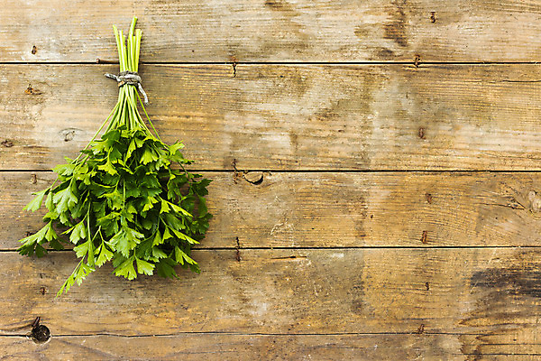 포토 JPG 해외이미지 식물 음식 줄기 백그라운드 잎 다이어트 채소 재료 자연 파슬리 건강 요리 사람없음 초록색 주방 샐러드 나뭇가지 신선 고명 양념 조미료 맛 다발 먹기 허브 향신료 보따리 유기농 날것 향기 향료 향 내추럴 채식주의자 해외202004 해외포토 나무 웰빙 컬러 컨셉 모션 생태계 채식 냄새 향미료 파일형식 이미지허브