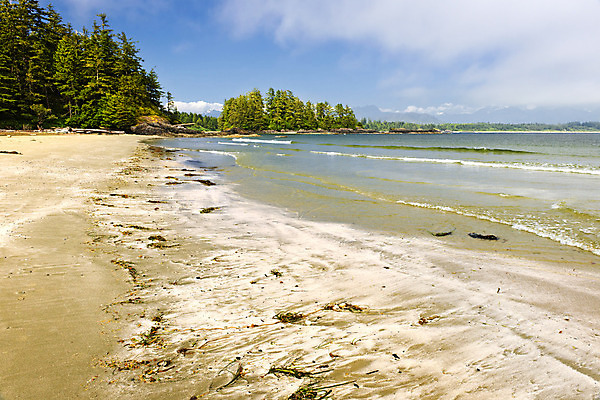 포토 JPG 해외이미지 나무 모래 파도 섬 캐나다 자연 산 풍경 사람없음 야외 물 모래사장 거품 서핑 황무지 해조류 가장자리 숲 태평양 내추럴 벤쿠버 서쪽 해외202004 해외포토 자연요소 식물 바다 북아메리카 수상스포츠 해양식물 둘레 방향 생태계 파일형식 이미지허브