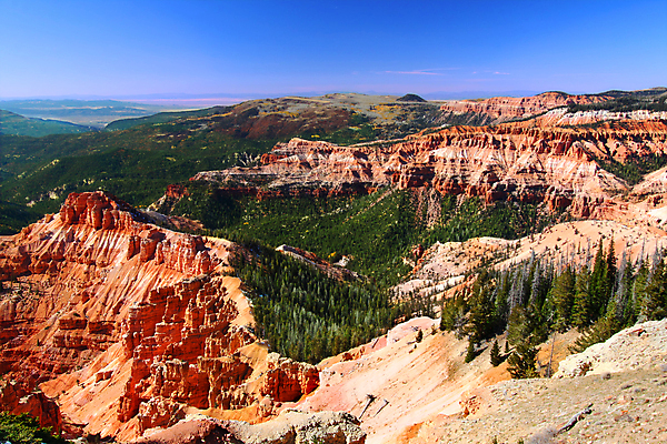 포토 JPG 해외이미지 식물 공원 여행 자연 산 풍경 사람없음 야외 환경 골짜기 계곡 미국 바위 소나무 황무지 숲 큼 산등성이 장면 지형 지역 침엽수 멀리 서식지 천연기념물 내추럴 감탄 무인 삼나무 생태학 전국 해외202004 해외포토 나무 공공시설 교육 북아메리카 돌_바위 크기 생태계 파일형식 이미지허브