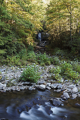 포토 JPG 해외이미지 나무 여행 자연 산 국립공원 사람없음 물 미국 폭포 가을 개울 블러 해외202004 해외포토 자연요소 식물 계절 공원 북아메리카 강 생태계 파일형식 이미지허브
