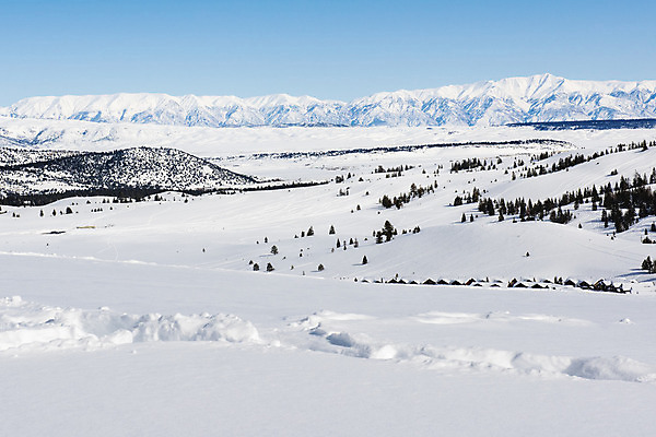 포토 JPG 해외이미지 계절 여행 겨울 산 풍경 사람없음 야외 파란색 냉동 추위 흰색 캘리포니아 멸종위기동물 1월 매머드 해외202004 해외포토 동물 컬러 미국 날짜 파일형식 멸종위기종 이미지허브