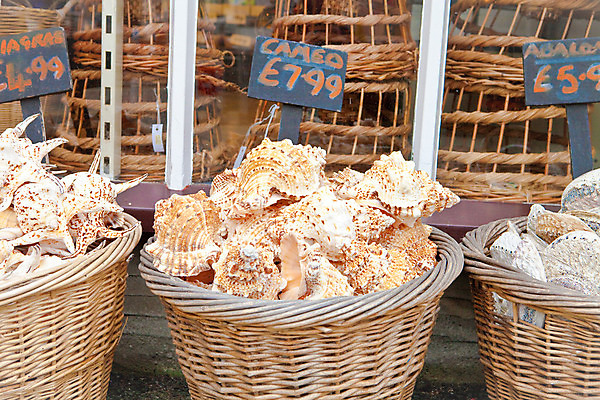 포토 JPG 해외이미지 계절 별 바다 여행 백그라운드 컨셉 자연 휴가 조개 휴식 불가사리 따뜻함 사람없음 야외 여름 컬러풀 바구니 맑음 껍질 흰색 황금 닫기 묘사 오브젝트 휴양지 질감 기념품 내추럴 파라다이스 해외202004 해외포토 자연요소 컬러 모션 날씨 어패류 극피동물 장소 생태계 파일형식 이미지허브