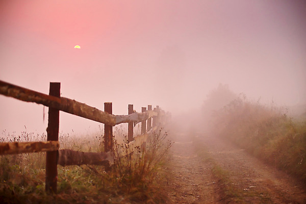포토 JPG 해외이미지 식물 도로 길 백그라운드 밭 농업 오렌지 자연 하늘 아침 산 풍경 사람없음 야외 목재 빨간색 초록색 여름 빛 울타리 햇빛 농장 일출 환경 목장 새벽 안개 가을 시골 땅 언덕 먼지 내추럴 뿌연 우크라이나 해외202004 해외포토 주간 자연요소 나무 계절 유럽 산업 컬러 과일 재료 교통시설 날씨 담장 태양 노을 생태계 파일형식 이미지허브