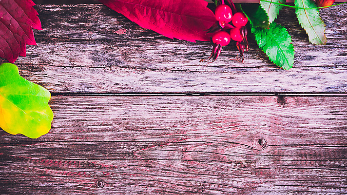 포토 JPG 해외이미지 식물 계절 공원 열매 꽃 신발 잎 벤치 과일 자연 포도 사람없음 빨간색 초록색 여름 장미 정원 봄 산책 벚꽃 가을 숲 9월 11월 시골집 도토리 10월 정물화 해외202004 해외포토 공공시설 컬러 의자 휴식 주택 견과류 날짜 그림 생태계 파일형식 이미지허브