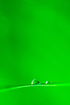 포토 JPG 해외이미지 식물 디자인 계절 공원 백그라운드 컨셉 잎 패턴 밭 자연 하늘 추상 부활절 미술 풍경 잔디 사람없음 아웃포커스 초록색 여름 빛 컬러풀 태양 정원 맑음 봄 새벽 안개 신선 닫기 보케 내추럴 블러 효과 해외202004 해외포토 자연요소 공공시설 기념일 컬러 무늬 농업 모션 날씨 문화예술 촬영기법 생태계 파일형식 이미지허브