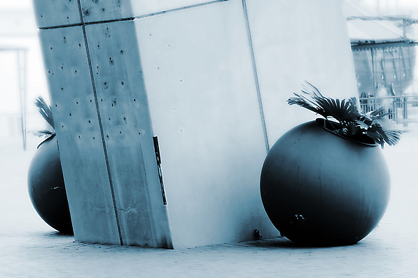 포토 JPG 해외이미지 식물 디자인 화분 잎 사람없음 야외 장식 초록색 꽃병 원예 해외202004 해외포토 꽃 컬러 취미 파일형식 이미지허브