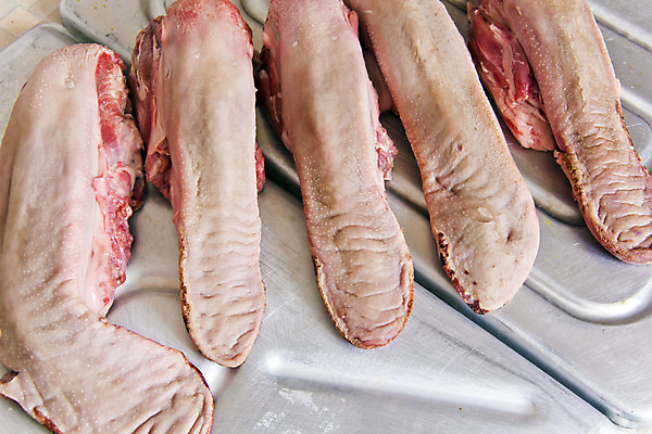 포토 JPG 해외이미지 음식 육류 돼지고기 사람없음 식사 소고기 신선 혀 날것 고립 해외202004 해외포토 식재료 입 파일형식 이미지허브