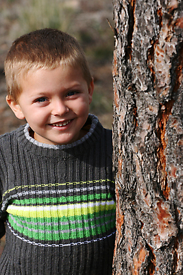 포토 JPG 해외이미지 나무 백인 공원 남자 어린이 밭 자연 놀이 한명 사람 소년 야외 초록색 금발 봄 숲 작음 니트 나무껍질 저지 해외202004 해외포토 서양인 식물 1 헤어스타일 계절 공공시설 컬러 상의 농업 껍질 크기 생태계 파일형식 이미지허브