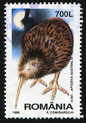 포토 JPG 해외이미지 조류 사람없음 달 빈티지 루마니아 우표 키위새 해외202004 해외포토 자연요소 동물 유럽 컨셉 파일형식 이미지허브