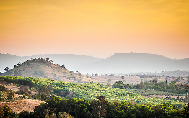 포토 JPG 해외이미지 나무 구름 계절 도로 여행 밭 농업 자국 자연 하늘 아침 산 주택 파노라마 풍경 사람없음 야외 빨간색 초록색 빛 햇빛 태양 농장 농경지 노란색 일출 정원 일몰 봄 새벽 안개 가을 시골 언덕 포도밭 장면 내추럴 해외202004 해외포토 주간 자연요소 식물 산업 길 컬러 교통시설 날씨 촬영기법 건물 노을 생태계 파일형식 이미지허브