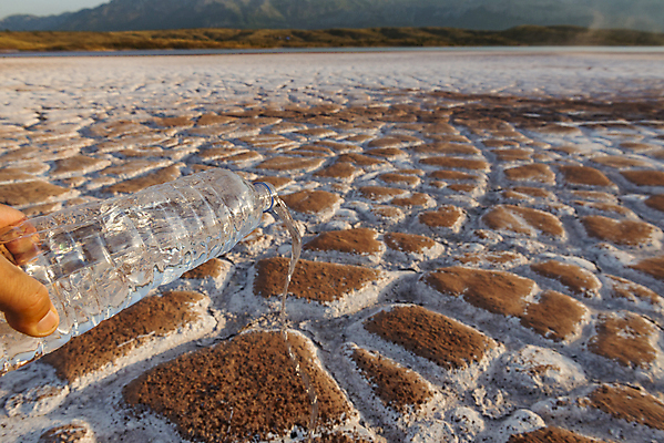 포토 JPG 해외이미지 백그라운드 자연 추상 건조 사람없음 물 여름 태양 갈색 지구본 환경 손상 껍질 죽음 뜨거움 조직 균열 큼 땅 실업자 부식 라임 진흙 가뭄 난방 그런지 깨짐 오존 재앙 해외202004 해외포토 자연요소 계절 컬러 컨셉 무늬 과일 모션 날씨 크기 생태계 파일형식 이미지허브