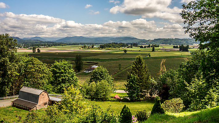 포토 JPG 해외이미지 나무 밭 농업 자연 지붕 풍경 사람없음 야외 초록색 여름 파란색 농작물 농장 농경지 환경 계곡 시골 땅 언덕 통조림 외양간 크랜베리 해외202004 해외포토 식물 계절 열매 산업 컬러 생태계 파일형식 이미지허브