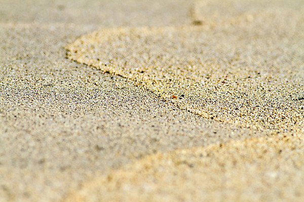 포토 JPG 해외이미지 모래 바다 백그라운드 패턴 자연 벽지 표면 휴가 사람없음 야외 여름 빛 모래사장 우주 사막 거친 황금 낟알 모래언덕 묘사 질감 내추럴 카피스페이스 해외202004 해외포토 계절 무늬 공백 언덕 생태계 파일형식 이미지허브