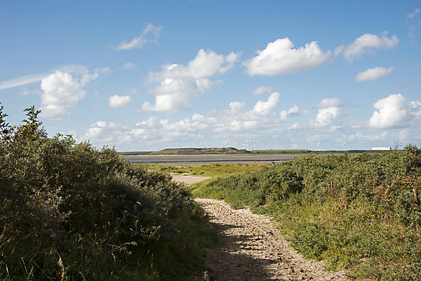 포토 JPG 해외이미지 나무 식물 구름 길 호수 모래 자연 하늘 풍경 사람없음 초록색 물 파란색 발전기 흰색 모래언덕 네덜란드 방법 해외202004 해외포토 자연요소 유럽 컬러 발전소 언덕 생태계 파일형식 이미지허브
