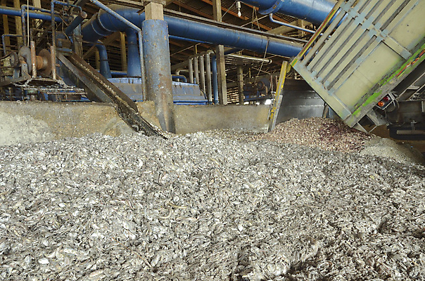 포토 JPG 해외이미지 동물 산업 음식 바다 장갑 오렌지 포장 낚시 건강 어류 사람없음 치료 상자 농장 권투 화물 신선 카세트테이프 시장 보호 주식 지중해 계산대 가득함 도미 팩 패키지 수납 방법 밭일 오메가 위생관리 제어 많음 해외202004 해외포토 잡화 컨셉 농업 과일 의학 레저 관리 금융 수중동물 화장품 격투기 운송업 파일형식 이미지허브