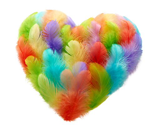 포토 JPG 해외이미지 커플 결혼 백그라운드 컨셉 가족 결혼식 휴가 발렌타인데이 선물 사랑 사람없음 장식 컬러풀 수확 하트 인사 신용카드 깃털 2월 고립 특별함 카피스페이스 해외202004 해외포토 모양 감정 컬러 농업 관계 데이이벤트 이벤트 금융 공백 예절 날짜 파일형식 이미지허브